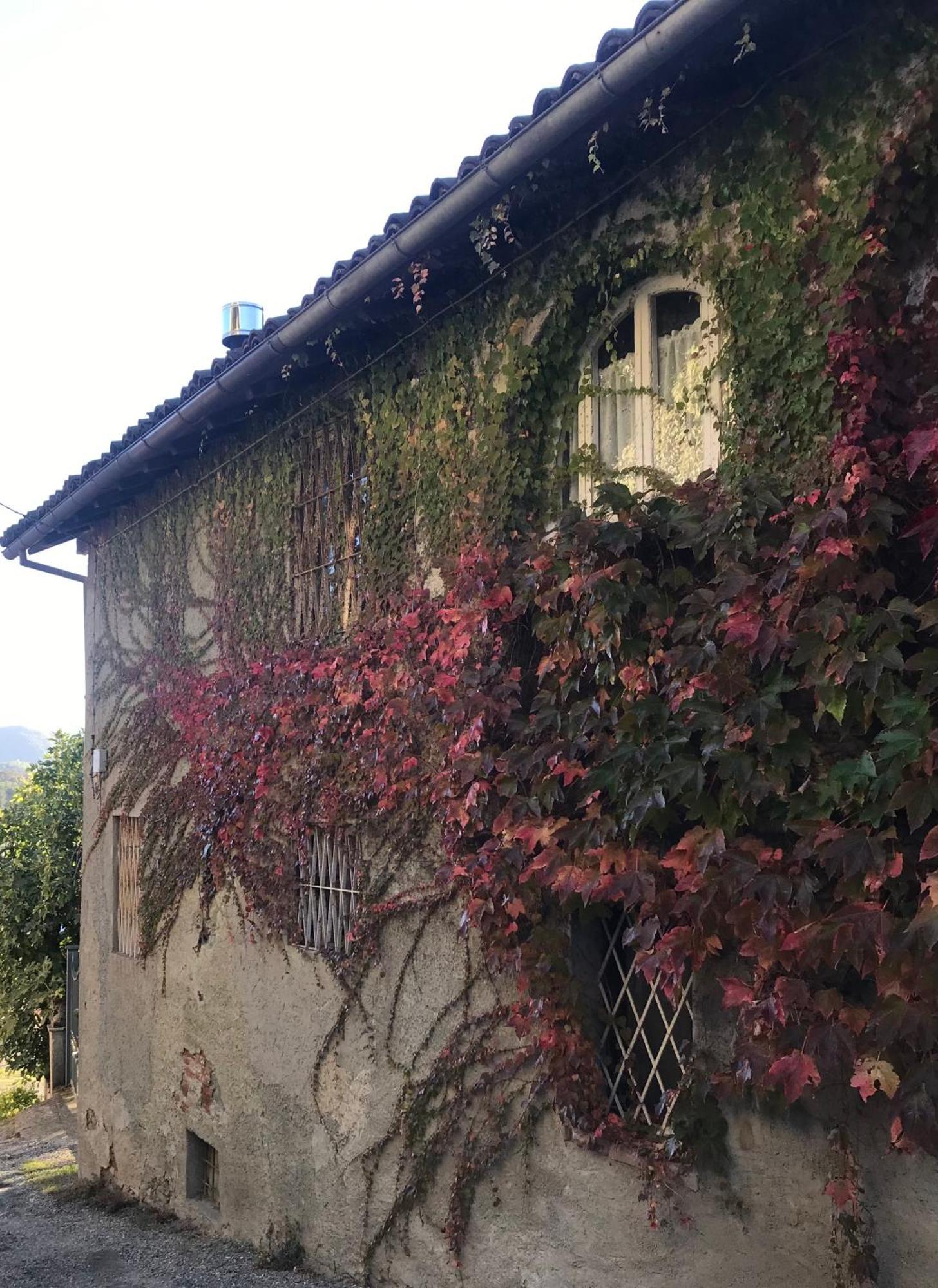 Borgo Francia Apartment Cremolino Exterior photo